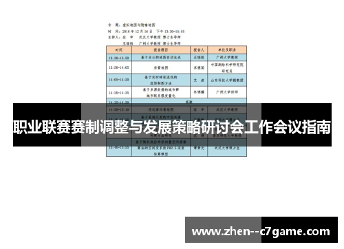 职业联赛赛制调整与发展策略研讨会工作会议指南 职业联赛赛制调整与发展策略研讨会工作会议指南